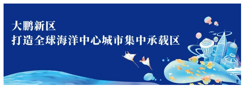 大鹏新区慈善会正式成立，当天共募集善款近600万元！